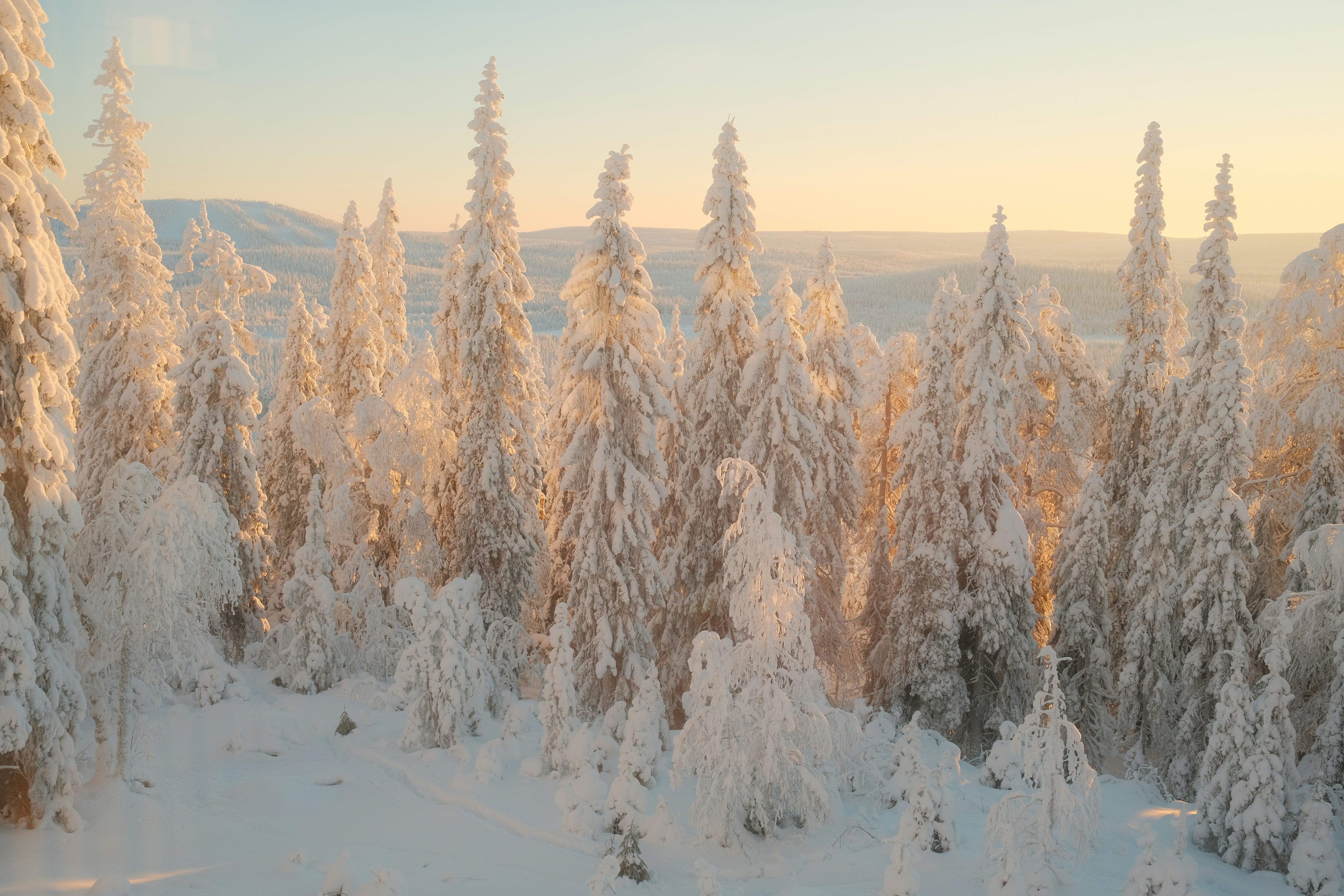 Robe blazer femme : élégance et modernité