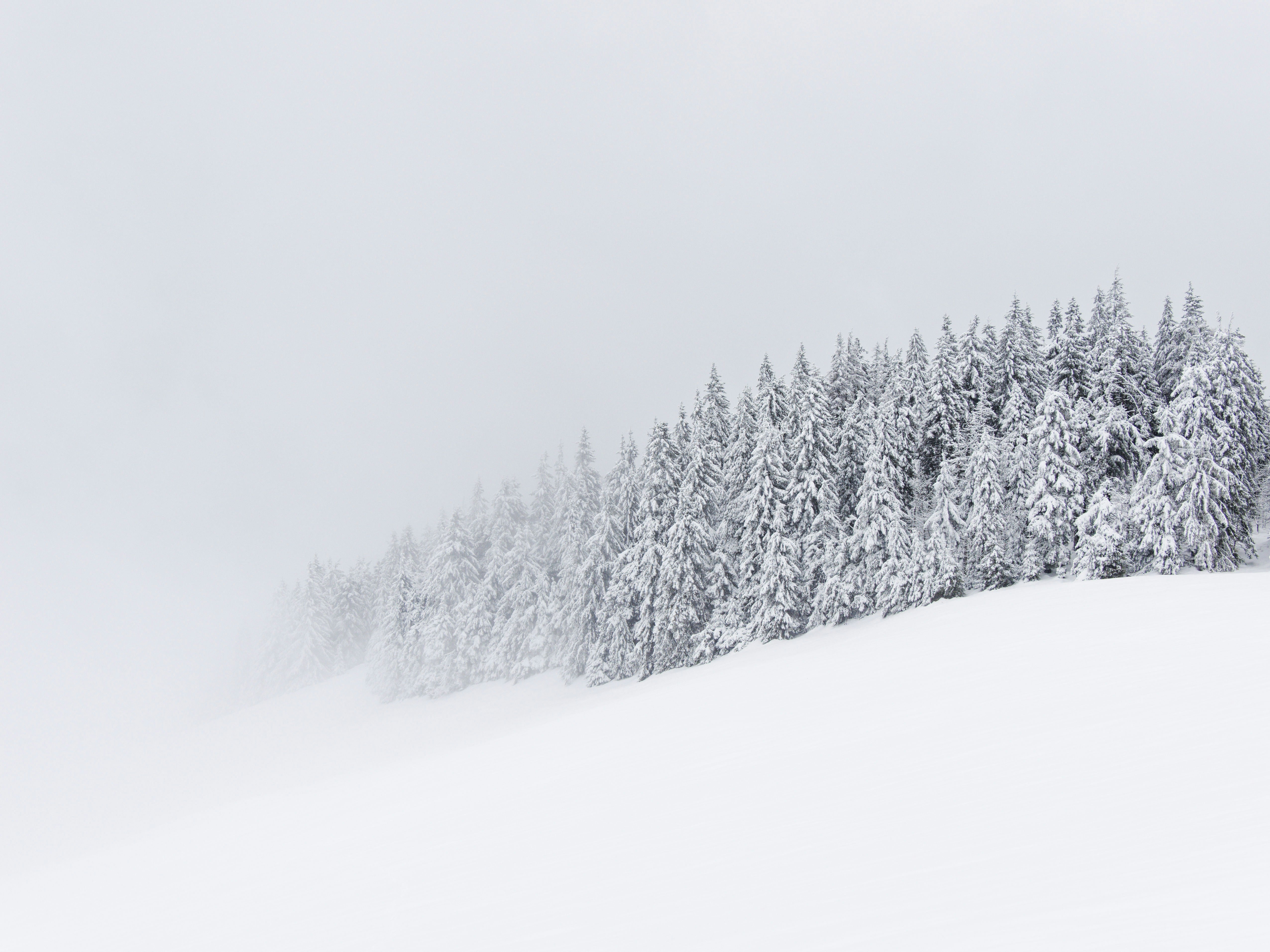 Robe moulante : conseils pour un look sophistiqué